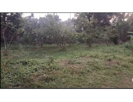 1 Acers and 15 cent Land for sale near Perumbavoor, Thandekkad junction