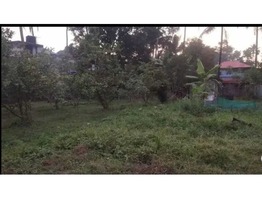 1 Acers and 15 cent Land for sale near Perumbavoor, Thandekkad junction