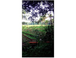 60 Cent cents land with 1500 Sqft  House for sale at Kundoor Junction