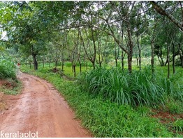 1.30 Cent Agriculture land for sale in Valad Wayanad Only 22 lakhs