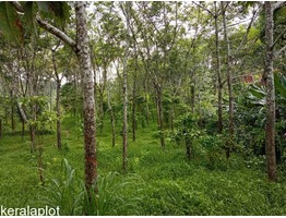 1.30 Cent Agriculture land for sale in Valad Wayanad Only 22 lakhs