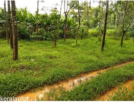 1.30 Cent Agriculture land for sale in Valad Wayanad Only 22 lakhs