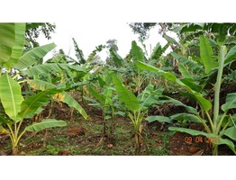 1 Acers and 48 cent Land for sale near Paika Town