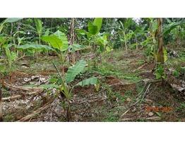 1 Acers and 48 cent Land for sale near Paika Town