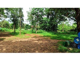 3 Acres and 90 Cents land for sale near Thangaloor junction in Thrissur