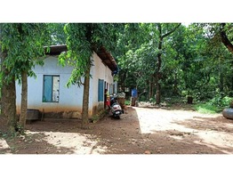 3 Acres and 90 Cents land for sale near Thangaloor junction in Thrissur