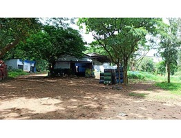 3 Acres and 90 Cents land for sale near Thangaloor junction in Thrissur