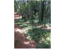 92 cent residential/agricultural land for sell in Perumkulam 691566,Kottarakkara,Kollam