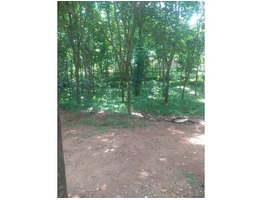 92 cent residential/agricultural land for sell in Perumkulam 691566,Kottarakkara,Kollam