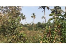 Land For Sale in Thiruvalla, near Believer's Church Medical College and upcoming Believer's Mall