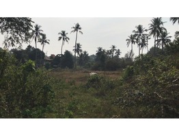 Land For Sale in Thiruvalla, near Believer's Church Medical College and upcoming Believer's Mall