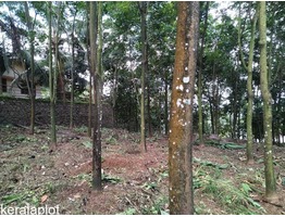 4 Acres of rubber estate  with 1700 sq. ft. house for sale near Kurumannu, Palai, Kottayam Dist.