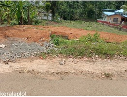 Ranni Plot for Sale