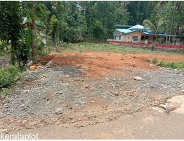 Ranni Plot for Sale