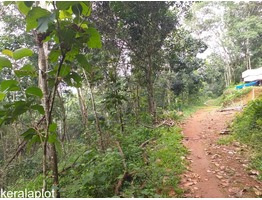 1 Acers and 40 cent Land for sale  malayalapuzha,panchayath road side