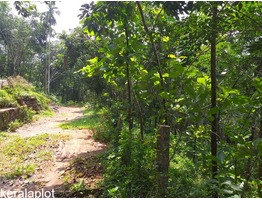 1 Acers and 40 cent Land for sale  malayalapuzha,panchayath road side