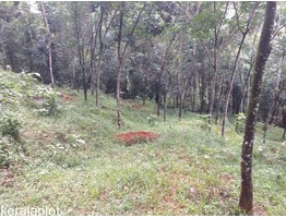 1 Acers and 40 cent Land for sale  malayalapuzha,panchayath road side