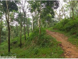 1 Acers and 40 cent Land for sale  malayalapuzha,panchayath road side