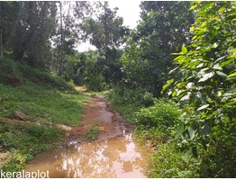 1 Acers and 40 cent Land for sale  malayalapuzha,panchayath road side