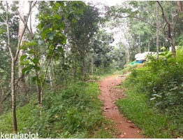 1 Acers and 40 cent Land for sale  malayalapuzha,panchayath road side