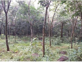 1 Acers and 40 cent Land for sale  malayalapuzha,panchayath road side