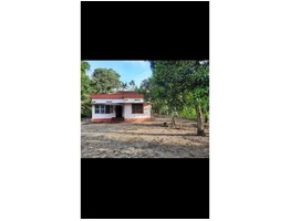 34 Cens land with  House for sale near  Cheppad, Evoor North, village office