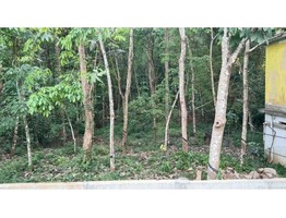 67 cents land for sale near  Ponthenpuza Town in kottayam