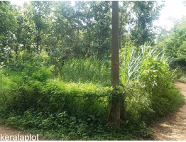 80 cent land for sale near by Pathirippala Town in Palakkad