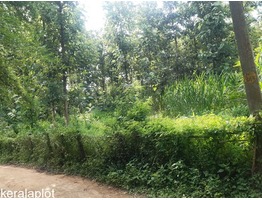 80 cent land for sale near by Pathirippala Town in Palakkad