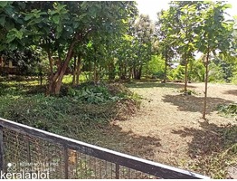 10 cent road side Rectangular plot sale at Pampady, Thiruwilwamala