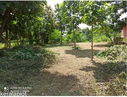 10 cent road side Rectangular plot sale at Pampady, Thiruwilwamala