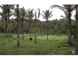 1 acre investment purpose land for sale near Seethamount