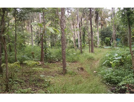 1 acre investment purpose land for sale near Seethamount