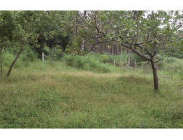 1 acre investment purpose land for sale near Seethamount