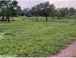 10 CENTS OF LAND FOR SALE AT THRISSUR.