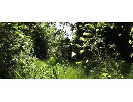 Residential Land for sale