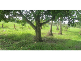 6.5 ACRES OF LAND FOR SALE AT PADIYUR, THRISSUR