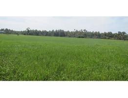 6.5 ACRES OF LAND FOR SALE AT PADIYUR, THRISSUR