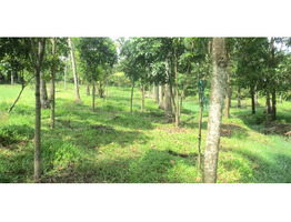 6.5 ACRES OF LAND FOR SALE AT PADIYUR, THRISSUR