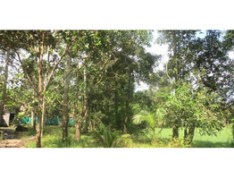 6.5 ACRES OF LAND FOR SALE AT PADIYUR, THRISSUR