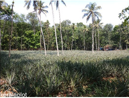 2 ACRES 9 CENTS OF LAND WITH 2 BHK HOUSE FOR SALE AT MUVATTUPUZHA, ERNAKULAM.