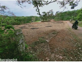 1 acre land for sale