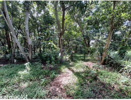 2 Acers and 70 cent Land for sale near Karunagapally junction