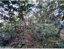 2 Acers and 70 cent Land for sale near Karunagapally junction