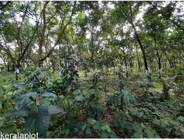 2 Acers and 70 cent Land for sale near Karunagapally junction