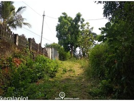 46 Cent cents land with 4BHK  House for sale at Padinjattumuri Junction