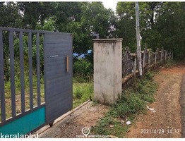 46 Cent cents land with 4BHK  House for sale at Padinjattumuri Junction