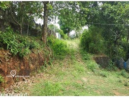 46 Cent cents land with 4BHK  House for sale at Padinjattumuri Junction