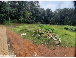 Residential Land for Sale in Athirampuzha, Kottayam