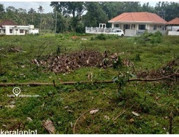 Residential Land for Sale in Athirampuzha, Kottayam